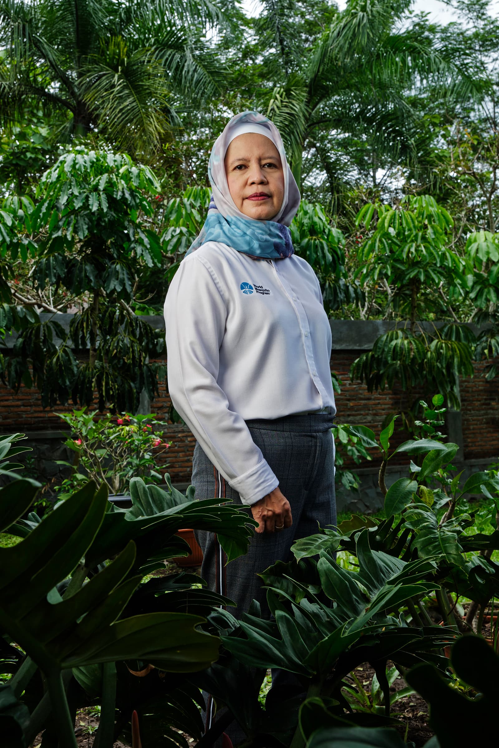 Mosquito Commander (Komandan Nyamuk)