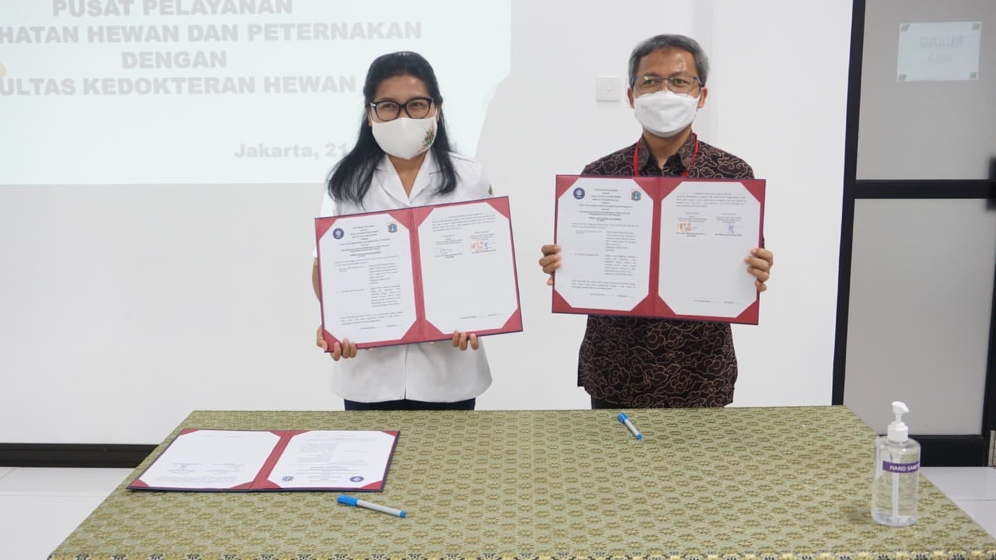FKH IPB University Teken Kerjasama dengan Pusat Pelayanan Kesehatan Hewan dan Peternakan Provinsi DKI Jakarta