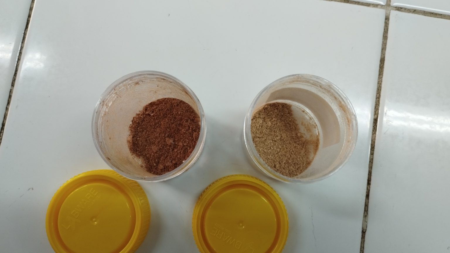 Sebut obat sapu jagat dosen unair paparkan potensi bahan aktif fucoidan